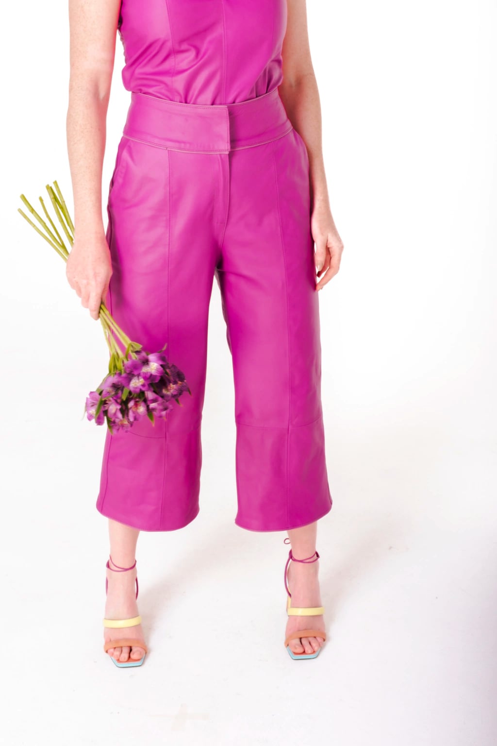 Pantcourt Petunia miniatura 2